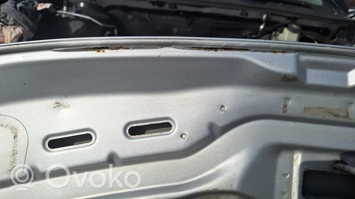 Volkswagen PASSAT B5.5 Engine bonnet/hood 