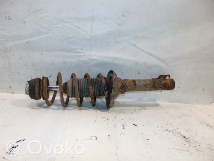 Volkswagen New Beetle Front shock absorber with coil spring 1J0413031AG
