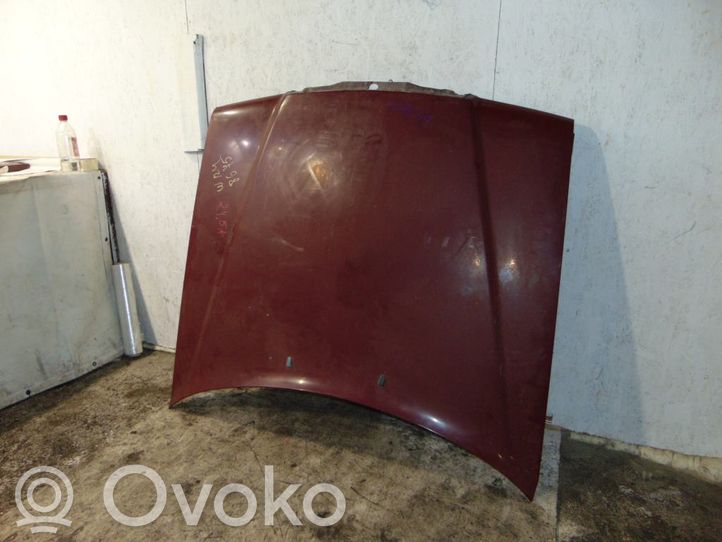 W124 hood 2024