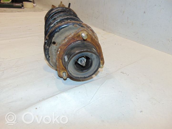 Nissan Primera Amortyzator osi tylnej ze sprężyną 5530286J28