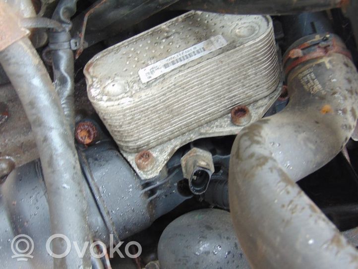 Volkswagen Jetta V Engine oil radiator 07K117021B