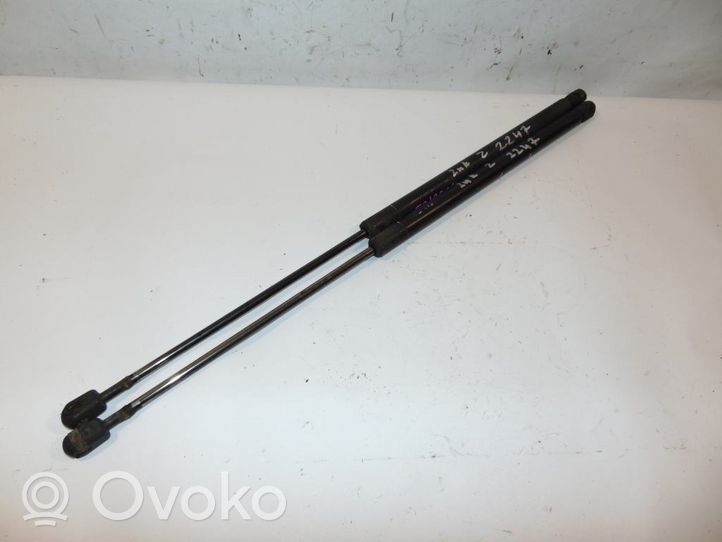 Volkswagen New Beetle Tailgate/trunk strut/damper 1C0827550E