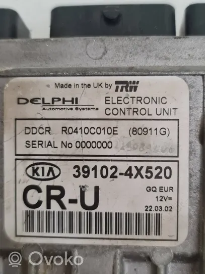 KIA Carnival Calculateur moteur ECU 391024X520