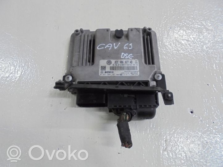 Seat Ibiza IV (6J,6P) Calculateur moteur ECU 03C906027AD