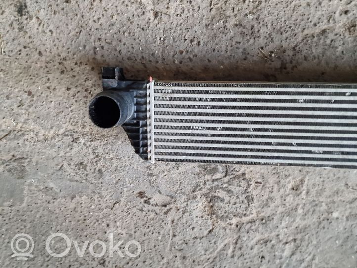 Renault Master III Intercooler radiator 144960015R