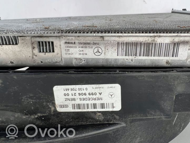 Mercedes-Benz GLC X253 C253 Set del radiatore A0999062100