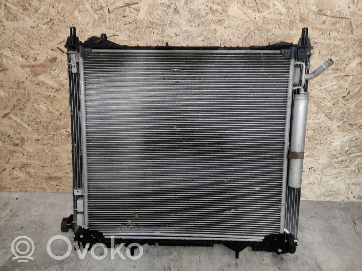 Jaguar XF Radiator set 8C607BC