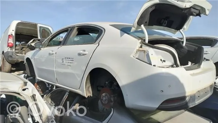 Peugeot 5008 Joint en caoutchouc de corps de porte avant 