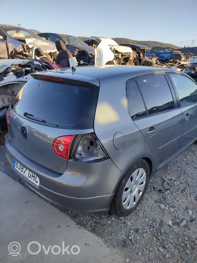 Volkswagen Golf V Oro grotelės gale 