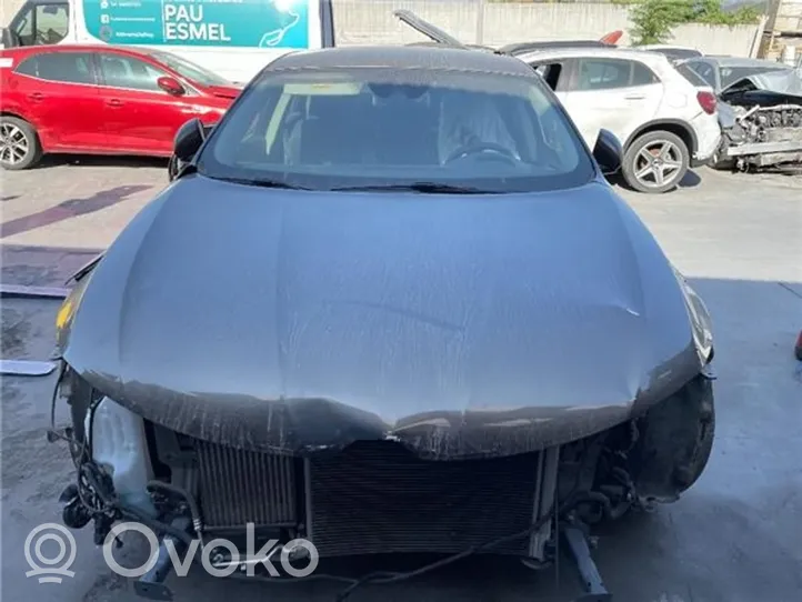 Renault Talisman Takaoven ulkokahva 806078882R