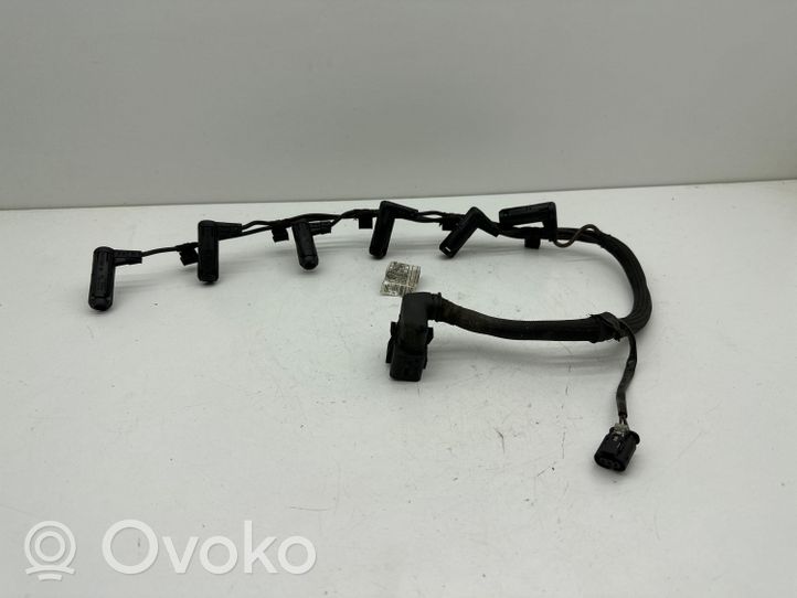 BMW X5 E70 Cavi candelette 780825604