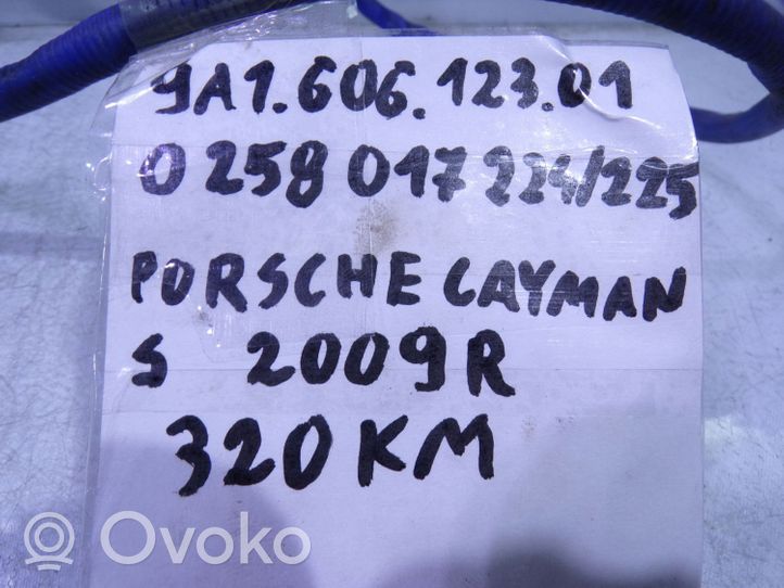 Porsche Cayman 982 Sonde lambda 9A160612301