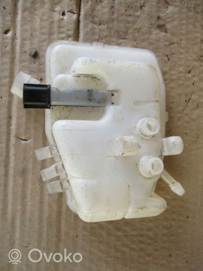 Opel Vivaro Brake fluid reservoir 460913484R