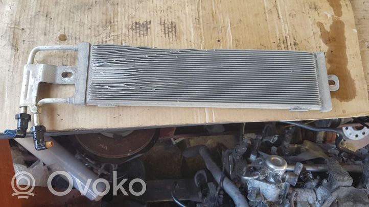 Volkswagen Golf V Radiatore del carburatore (radiatore) 1K0203491B