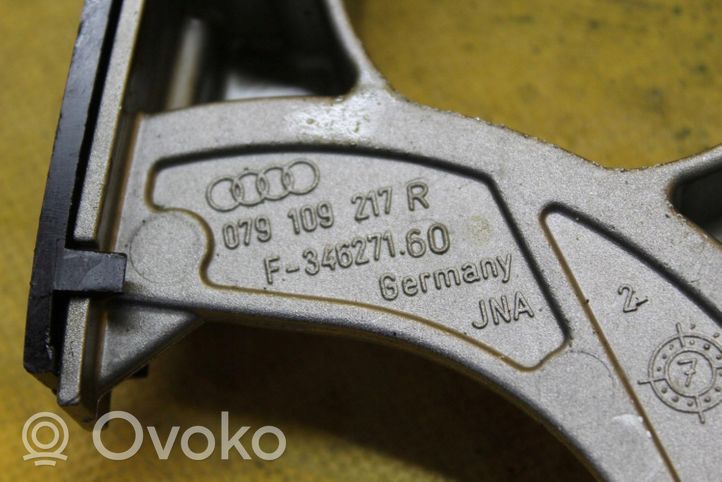 Audi A8 S8 D3 4E Paskirstymo diržo/ grandinės įtempėjas 079109217R