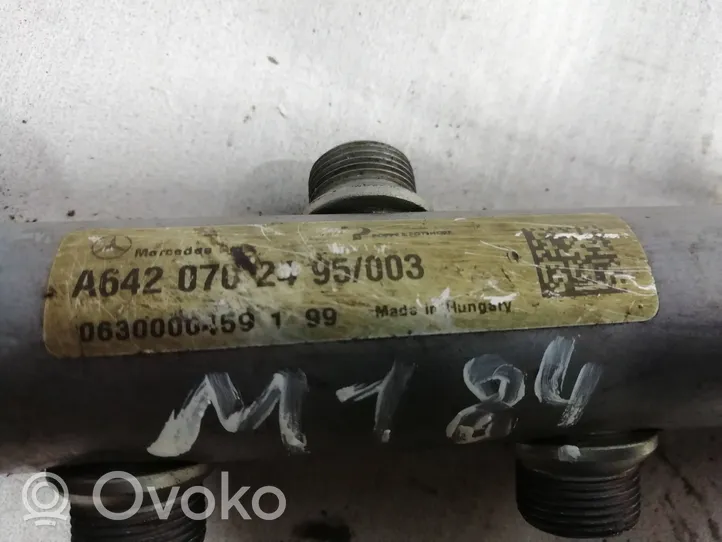 Mercedes-Benz S W221 Fuel main line pipe A6420702495