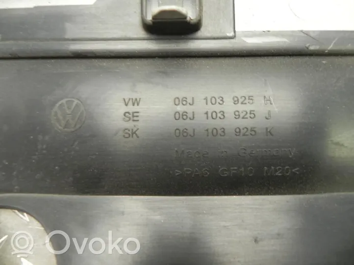 Volkswagen Tiguan Copri motore (rivestimento) 06J103925H
