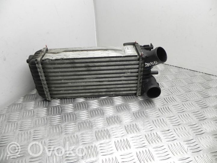 Ford C-MAX I Starpdzesētāja radiators 8V619L440CC