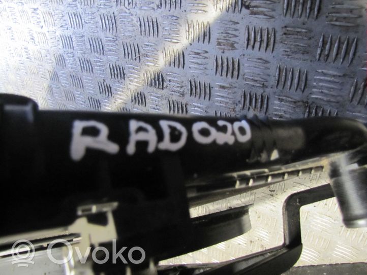Dacia Sandero Радиатор охлаждающей жидкости 8200735038
