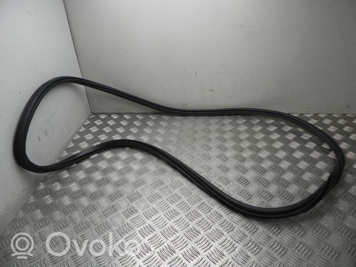 Volvo XC60 Rubber seal rear door 636