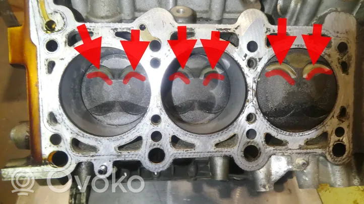 Audi A6 S6 C6 4F Engine block BDW