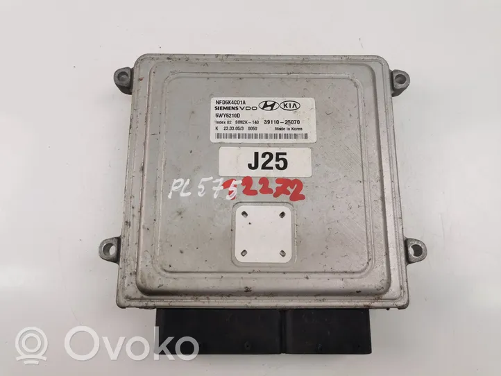 Hyundai Sonata Sterownik / Moduł ECU 3911025070