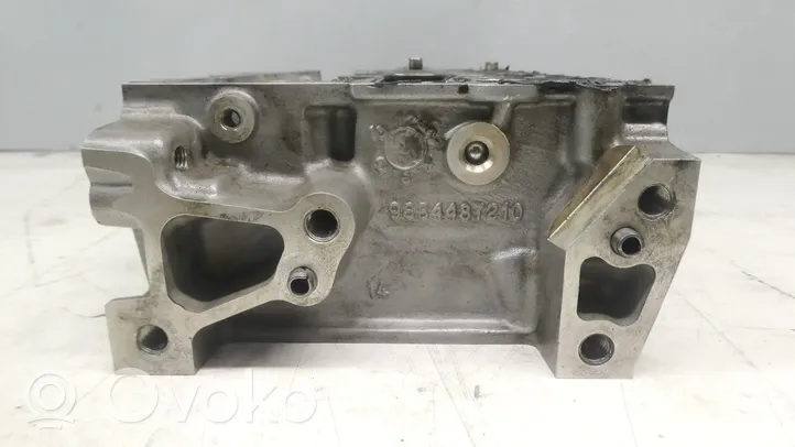 Ford Focus Sylinterinkansi 9684487210