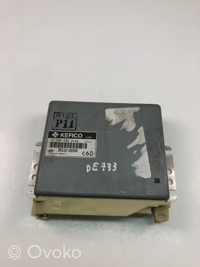 Hyundai Accent Sterownik / Moduł ECU 3911022345