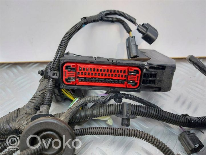 Ford Ecosport Cableado de instalación del motor FN1T-14K012-HAE