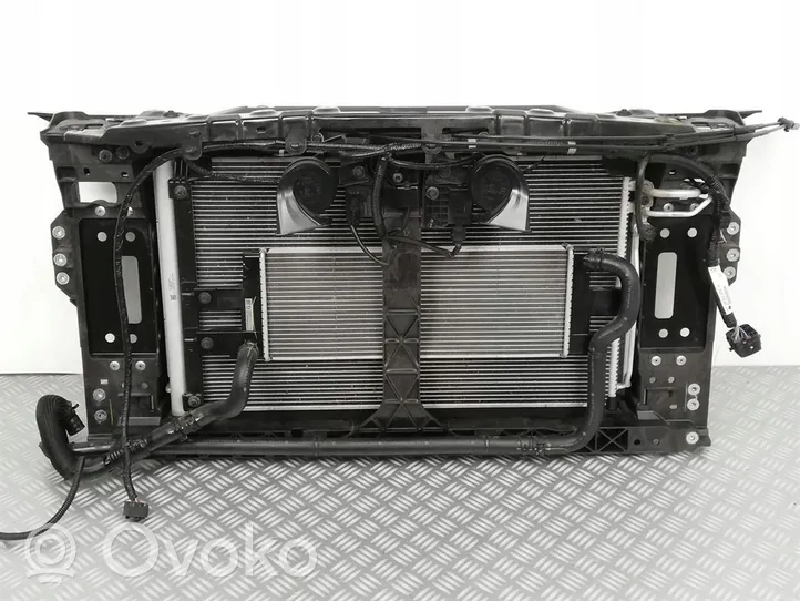 Infiniti Q50 Pannello di supporto del radiatore 