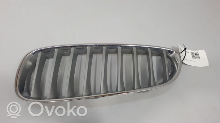 BMW Z4 E85 E86 Maskownica / Grill / Atrapa górna chłodnicy 40502054