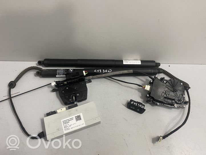 BMW X5 F15 Siłownik elektryczny podnoszenia klapy tylnej / bagażnika 7294469