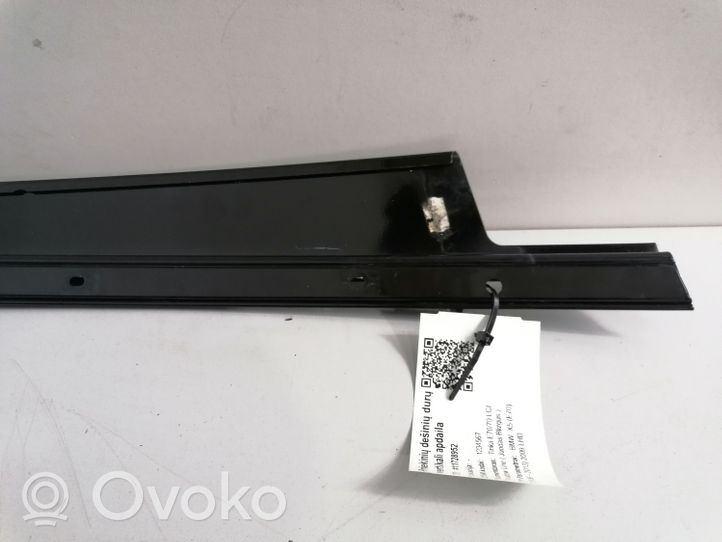 BMW X5 E70 Rivestimento modanatura del vetro della portiera anteriore 1234567