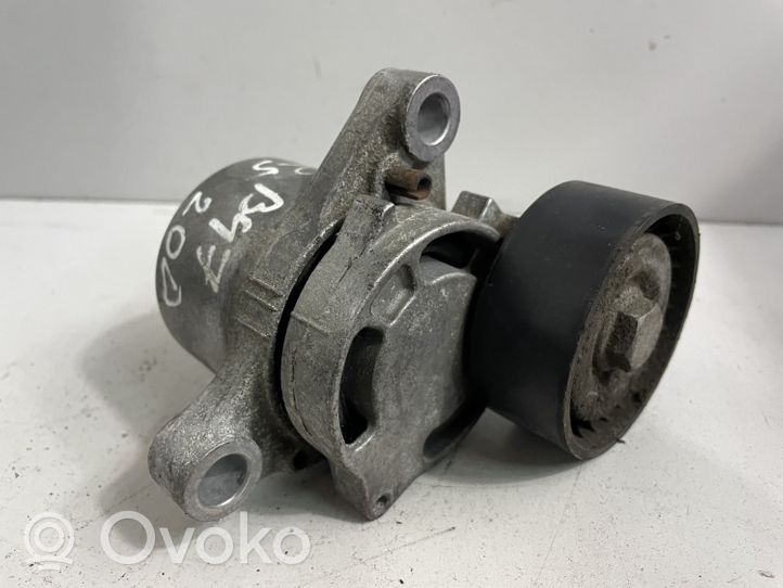 BMW X3 F25 Napinacz paska alternatora 7619248