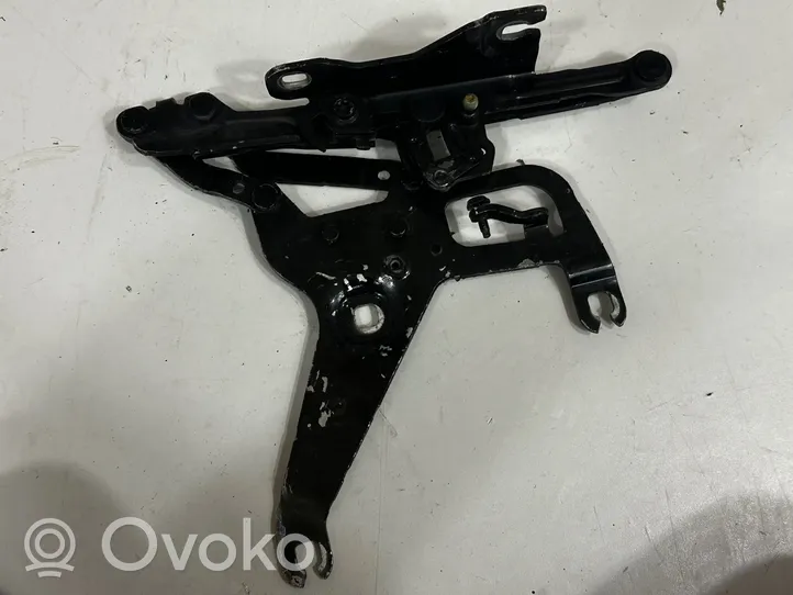 BMW X6 F16 Cerniere del vano motore/cofano 7294529