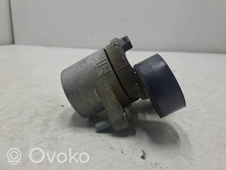 BMW X6 F16 Tensor de correa del alternador 7810807