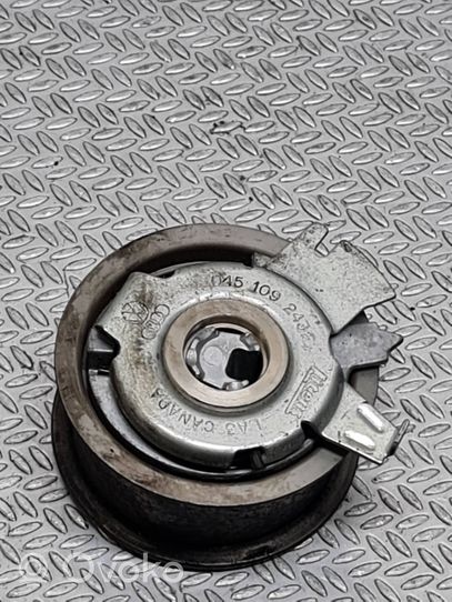 Volkswagen Polo IV 9N3 Timing belt/chain tensioner 045109243F