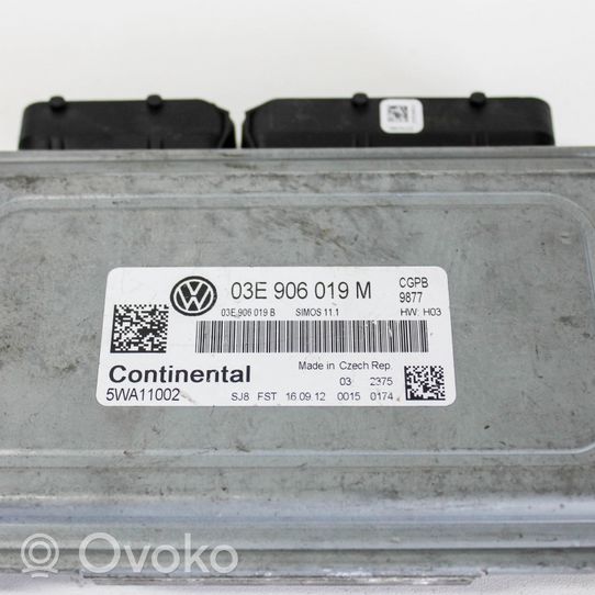 Volkswagen Polo V 6R Engine control unit/module 03E906019M