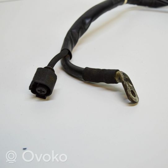 Volkswagen Phaeton Negative earth cable (battery) 