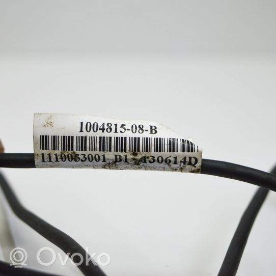 Tesla Model S Faisceau câbles de frein 100481508B