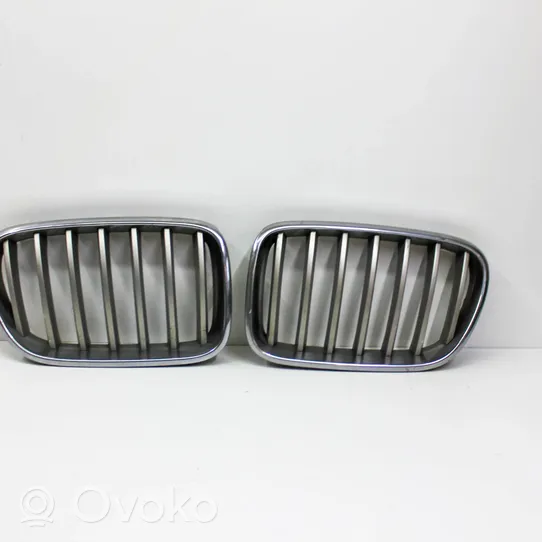 BMW X3 F25 Передняя решётка 7210726