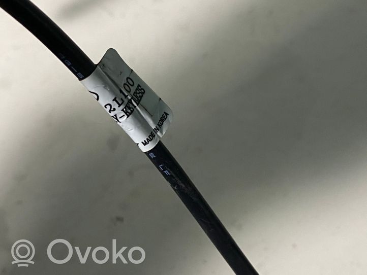 Hyundai i30 Interjero komforto antena 954112L100