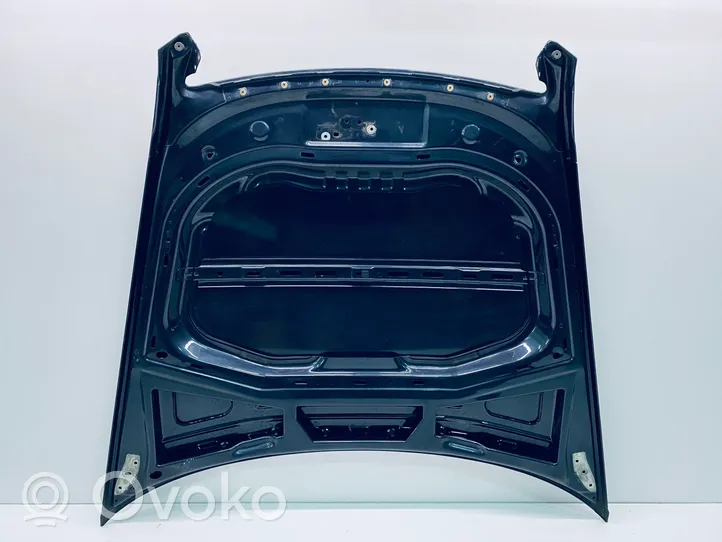 Volkswagen Phaeton Pokrywa przednia / Maska silnika 3D0823031H