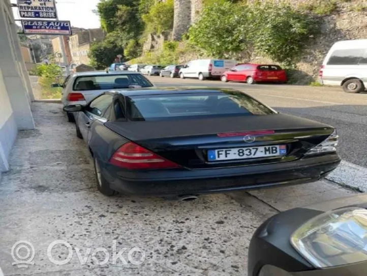 Mercedes-Benz SLK AMG R170 Dekoratyvinių salono apdailų komplektas 