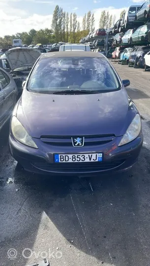 Peugeot 307 Collecteur d'échappement 0341G2