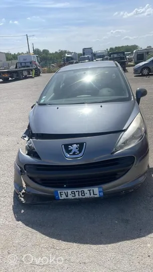 Peugeot 207 Tunkki 672599