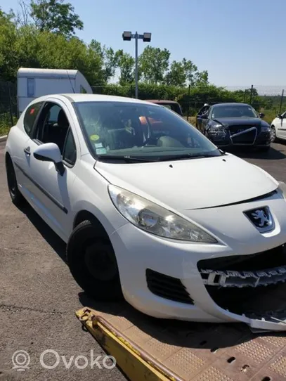 Peugeot 207 Gumowa uszczelka drzwi przednich 9023XP