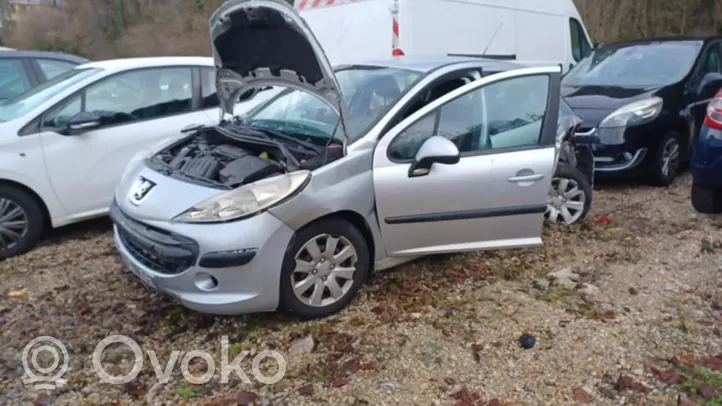 Peugeot 207 Gumowa uszczelka drzwi przednich 9023XG