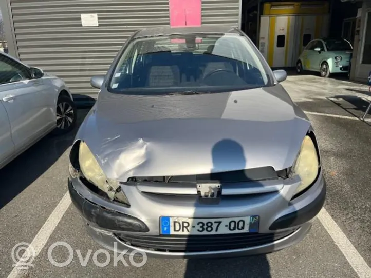 Peugeot 307 Sandarinimo guma priekinių durų (ant kėbulo) 9023KE