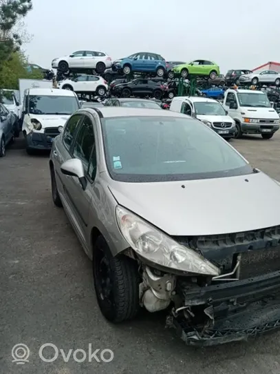 Peugeot 207 Mocowanie przedniego zacisku hamulca 1617292480